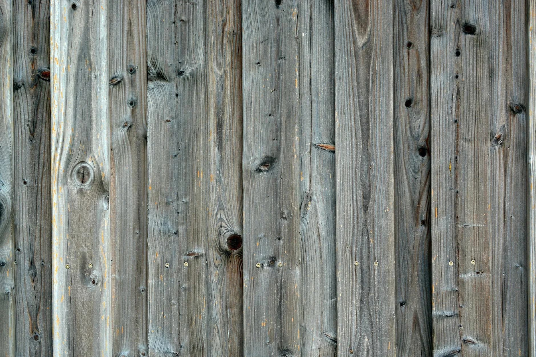 Before: Full Fence Replacement